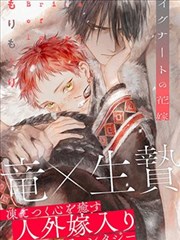 神奇宝贝特别篇漫画双线并进观察卡示意:两条叙事线的交替页码配比