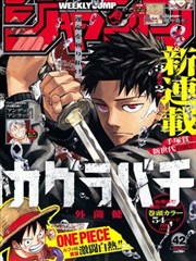 神奇宝贝特别篇漫画伏笔回收观察卡示意:道具首现页与回收页的间距